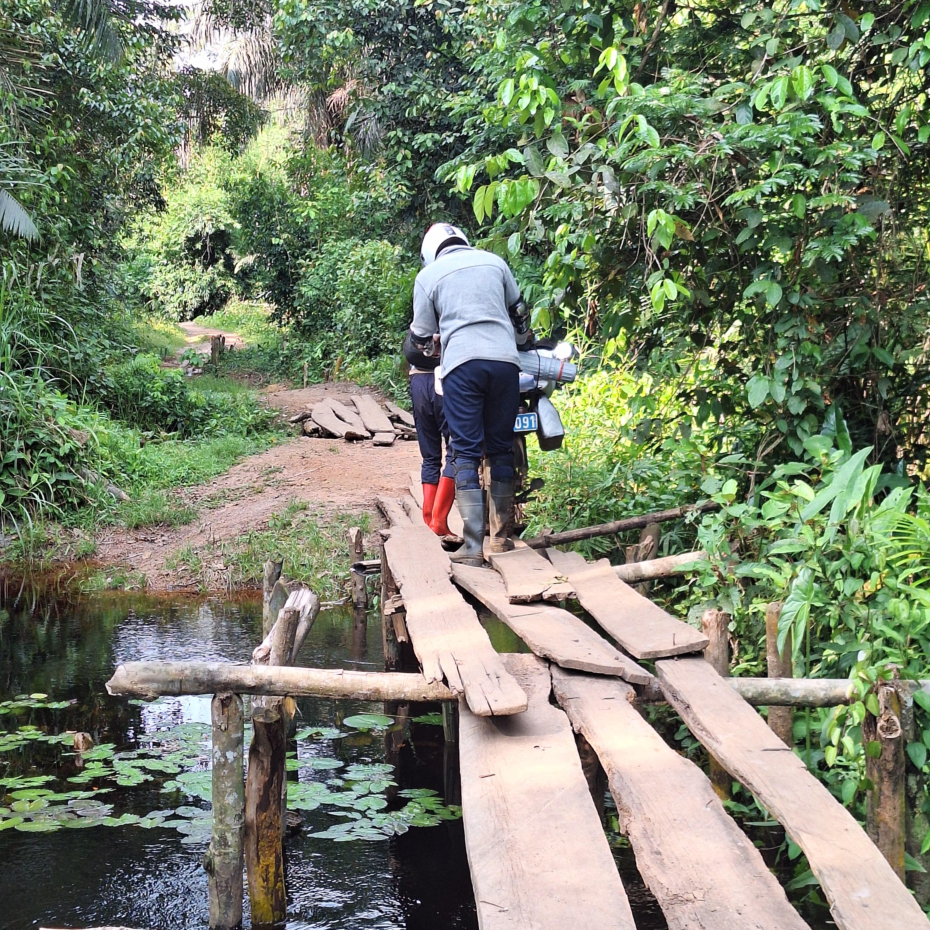 Infrastructures routières en RDC : un levier stratégique pour le développement et la protection des aires protégées