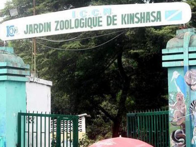 ZOOS EN RDC : ENTRE ABANDON, SPOLIATION ET ESPOIR DE RENAISSANCE, QUELLE PLACE POUR LA CONSERVATION EX SITU ?