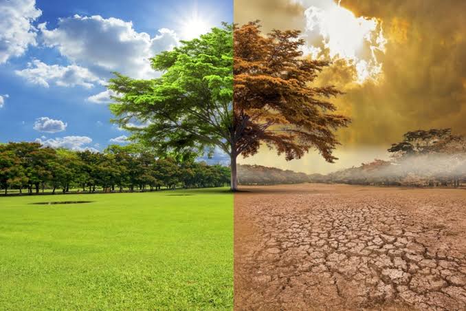 CHANGEMENT CLIMATIQUE : APRÈS LES CATASTROPHES, QUI PEUT ENCORE FAIRE SEMBLANT DE NE PAS VOIR ?