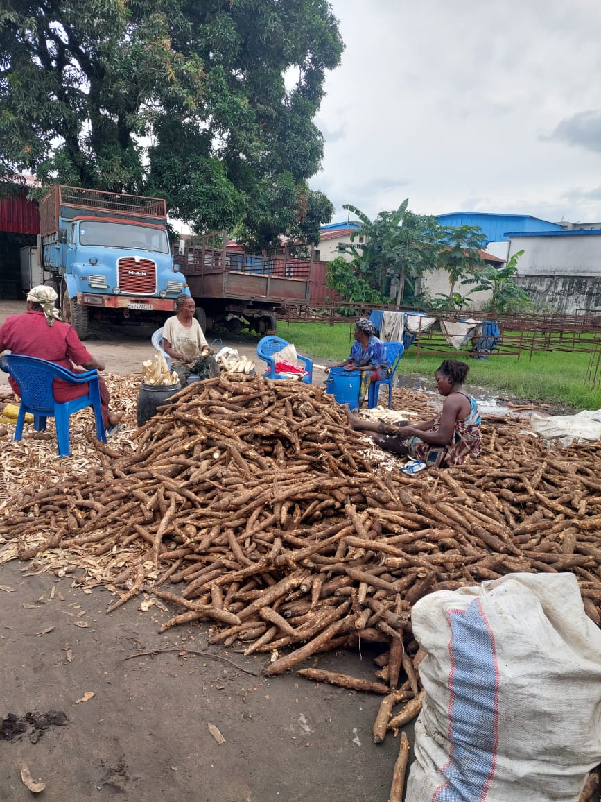 ALIZÉ RÉINVENTE LE FOUFOU : DU MANIOC TRADITIONNEL À UNE FARINE DE HAUTE QUALITÉ