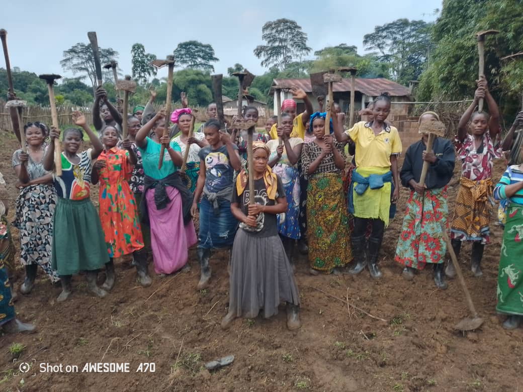PENZELE : FEMMES PYGMEES ET BANTOUES UNISSENT LEURS FORCES POUR FAIRE POUSSER L’ESPOIR